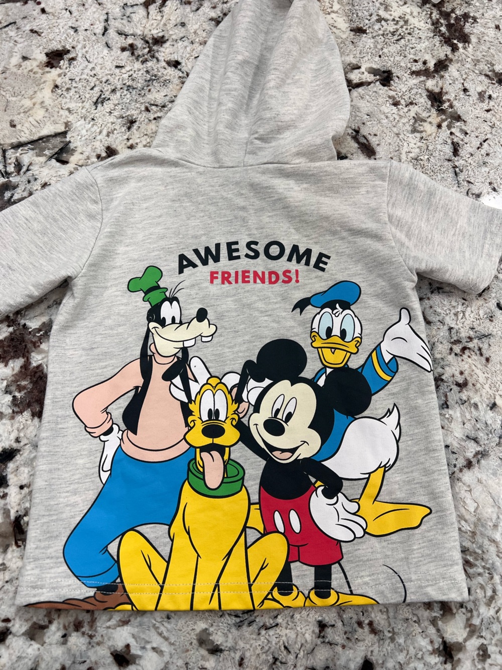 Disney Grey Kids Sweatshirt with Mickey & Friends Graphic